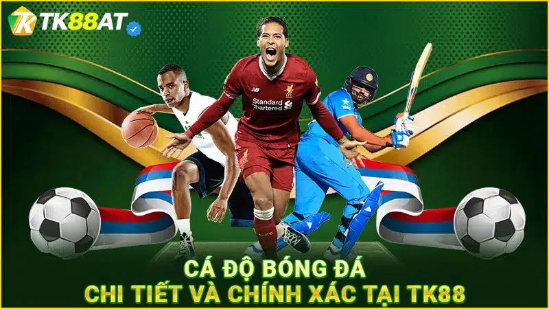 Cá độ bóng đá chi tiết và chính xác tại TK88