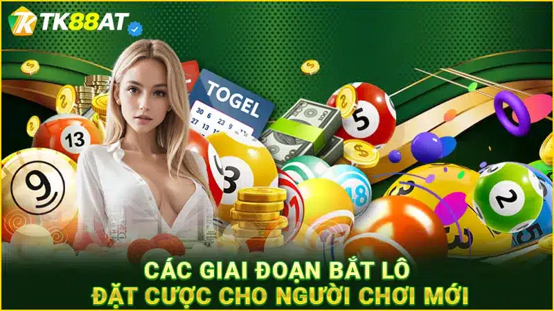 Các giai đoạn bắt lô đặt cược cho người chơi mới
