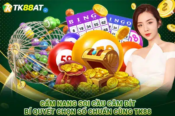 Cẩm nang soi cầu câm đít: Bí quyết chọn số chuẩn cùng TK88
