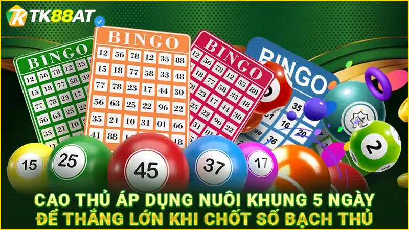 Cao thủ áp dụng nuôi khung 5 ngày để thắng lớn khi chốt số bạch thủ