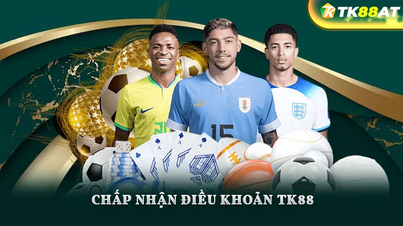 Chấp nhận điều khoản TK88