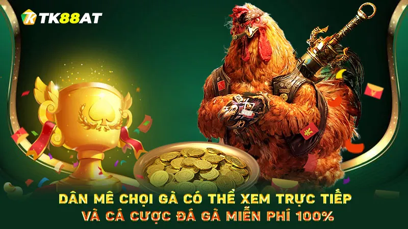 Dân mê chọi gà có thể xem trực tiếp và cá cược đá gà miễn phí 100%