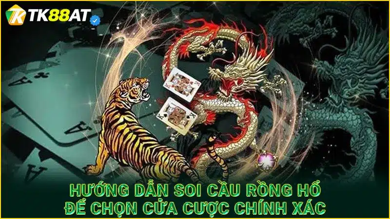 Hướng dẫn soi cầu Rồng Hổ để chọn cửa cược chính xác
