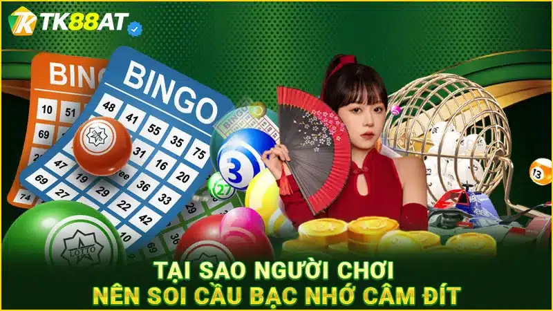 Tại sao người chơi nên soi cầu bạc nhớ câm đít