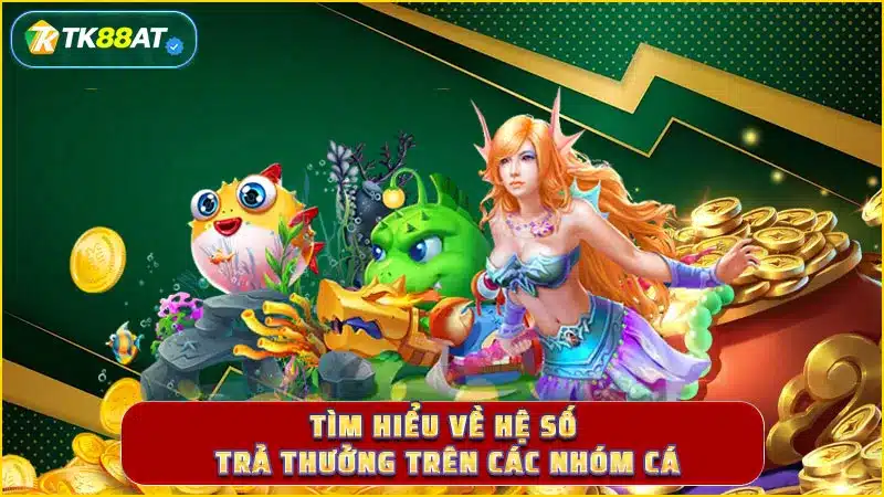 Tìm hiểu về hệ số trả thưởng trên các nhóm cá