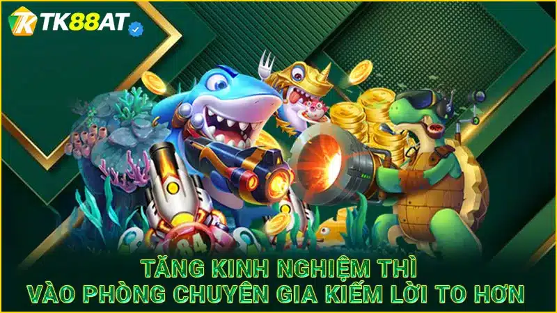 Tăng kinh nghiệm thì vào phòng chuyên gia kiếm lời to hơn 